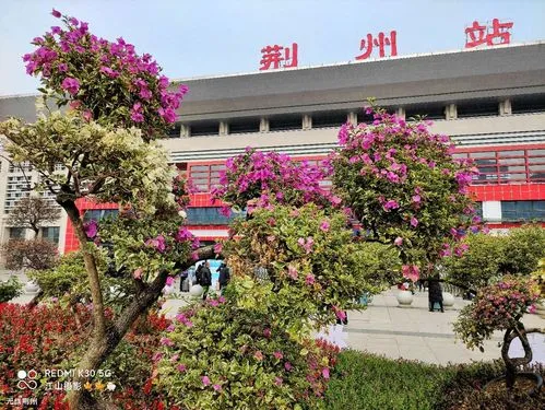 嘉興到荊州物流專線-嘉興至荊州貨運(yùn)公司