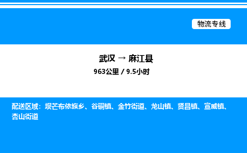 武漢到麻江縣物流專線-武漢至麻江縣貨運(yùn)公司