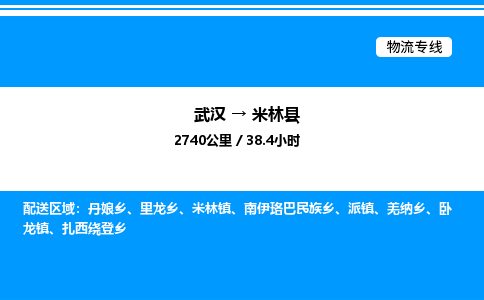 武漢到米林縣物流專線-武漢至米林縣貨運(yùn)公司